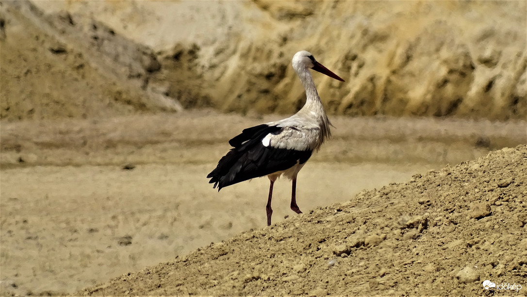 Felmegyek a dombtetőre.....