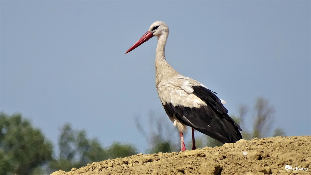 ...innen nézek szerteszét