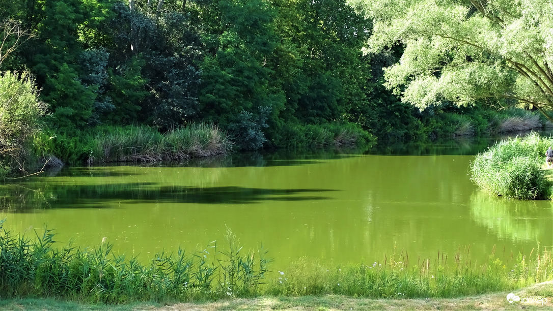 Veresegyház, Ivacsi-tó.