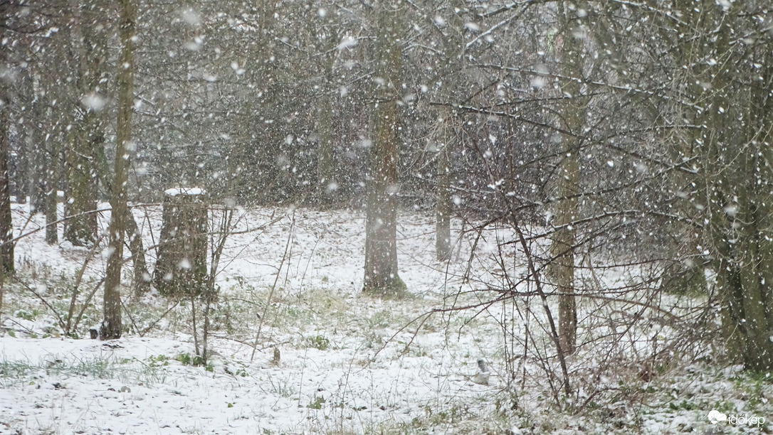 Nagypelyhes havazás.