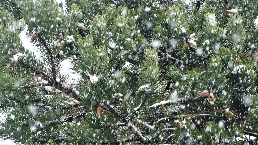 Nagypelyhes havazás.