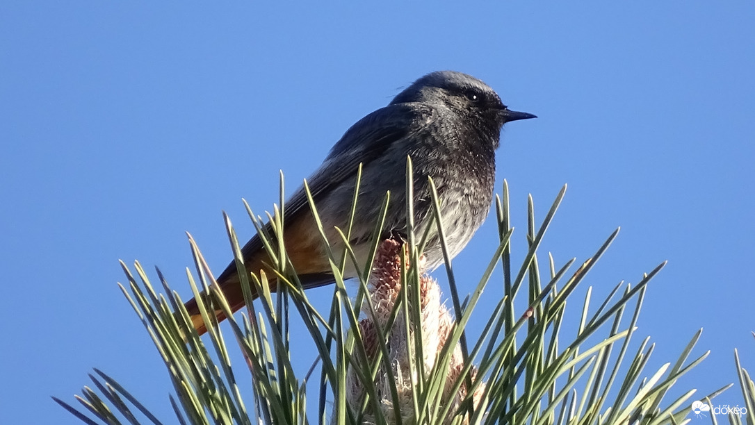 A csúcson.