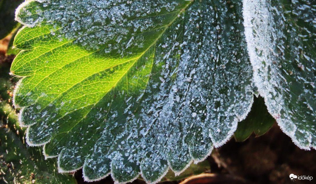 Gyenge talajmenti fagy.