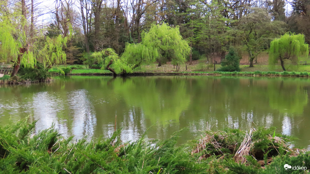 Tavasz a Vácrátóti Arborétumban.
