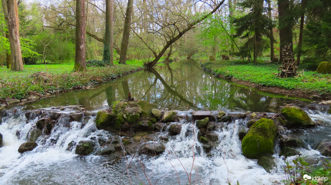 Tavasz a Vácrátóti Arborétumban.