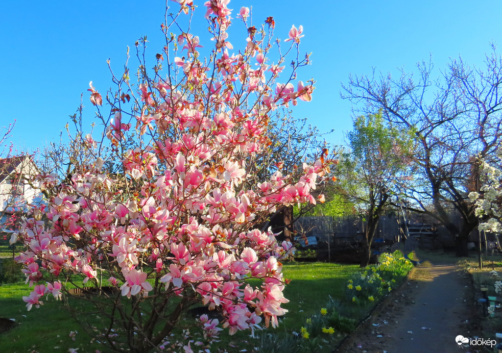 Kora reggeli napsütésben.