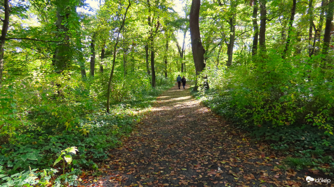 Vácrátóti Arborétum.