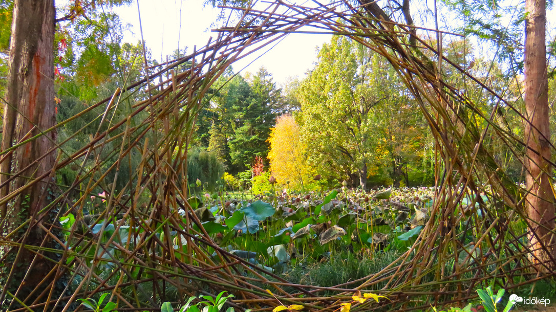 Vácrátóti Arborétum.