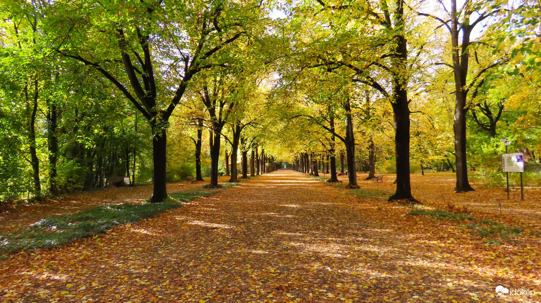 Erzsébet-park - Gödöllő.