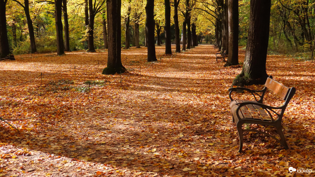 Erzsébet-park - Gödöllő.