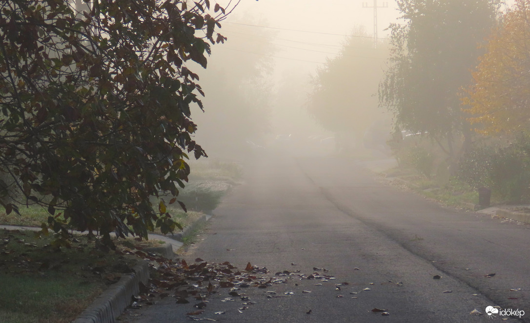 Reggeli ködös utca.