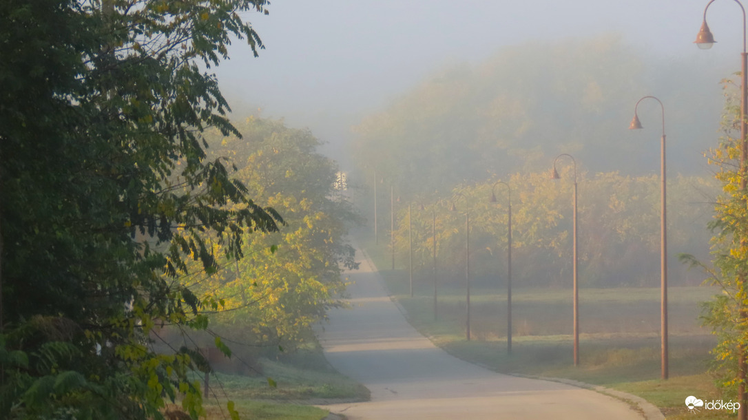 Reggeli ködös utca.
