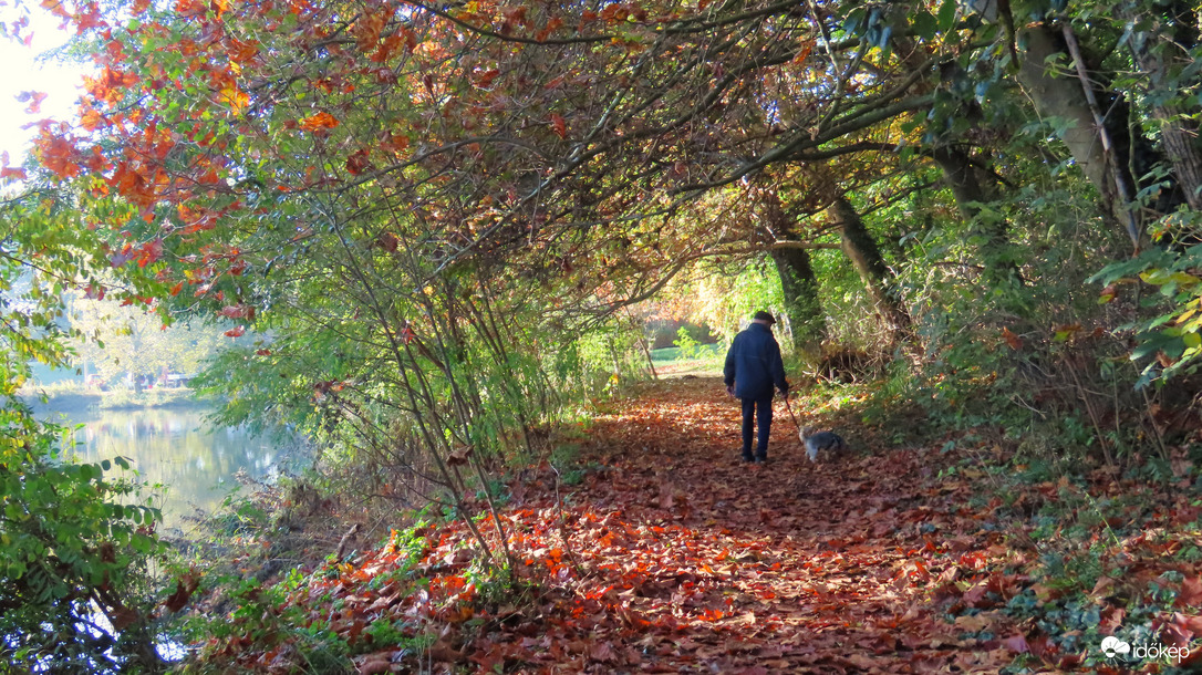 Veresegyházi Tavak Tanösvény,