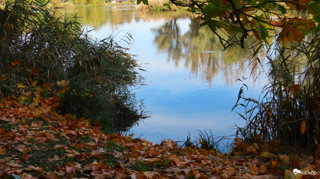 A platánok is színesednek már.