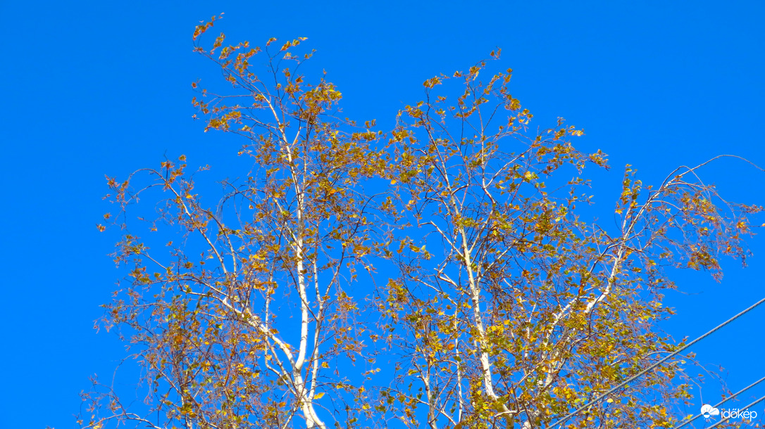 Fogynak az őszi levelek.