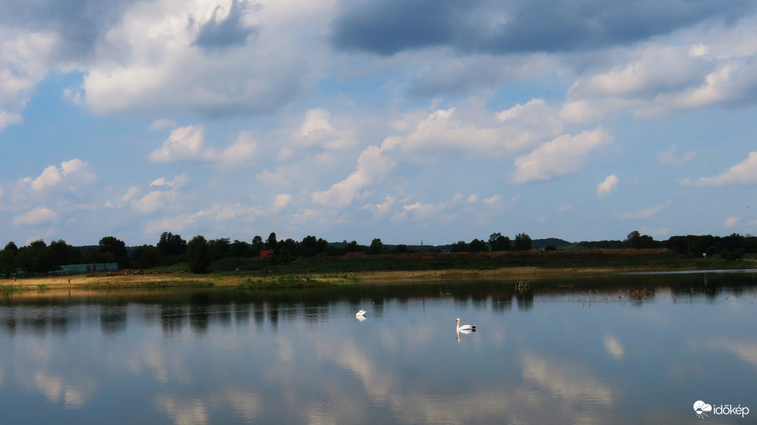 Tó hattyúkkal.