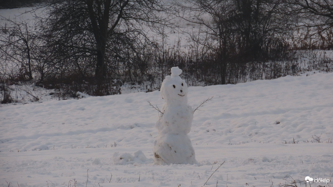 Téli mezőőr.
