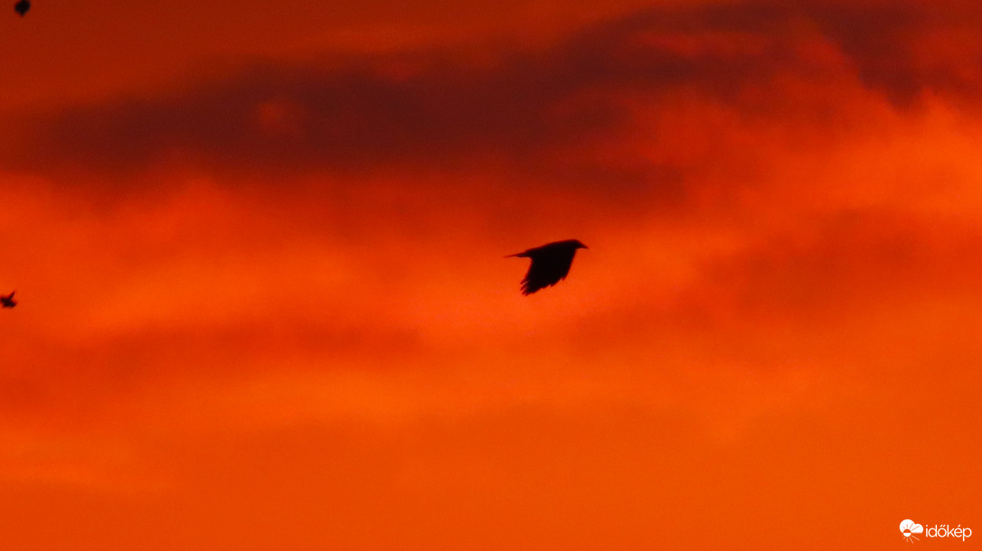 Alkonyati röpte.