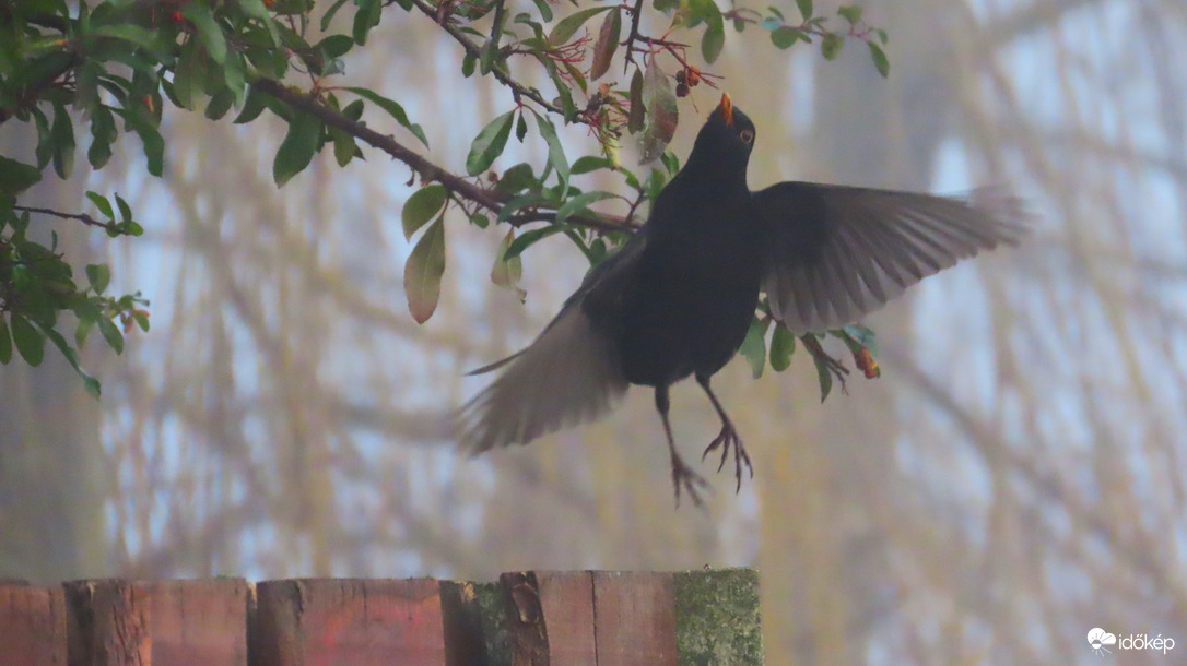 "Így is-úgy is bekaplak!"