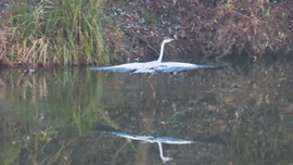 "Csak el ne tévedjek a ködben"!