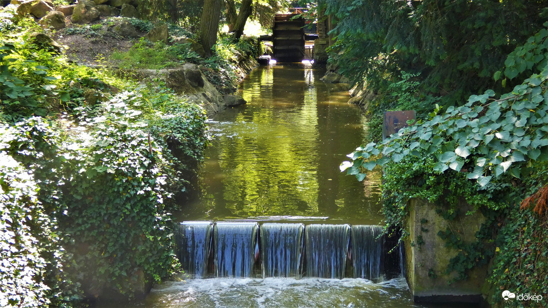 Vácrátóti Arborétum.