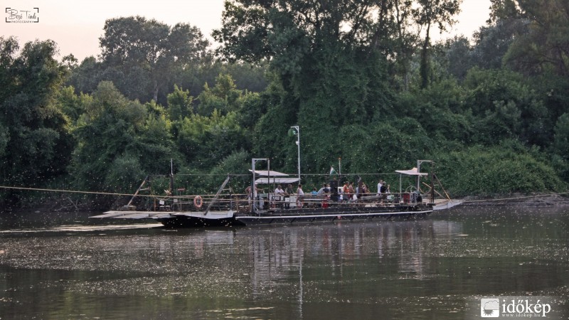 Komp és tiszavirágzás