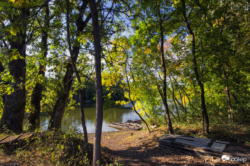 Tisza ártér