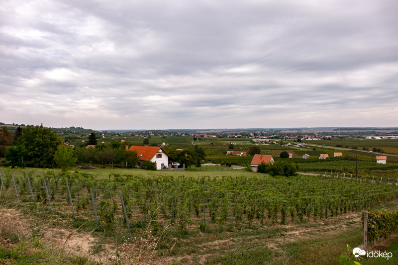 Villány a háttérben