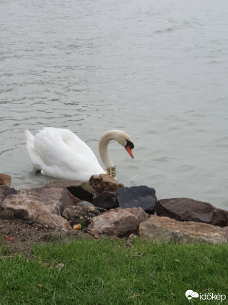 Balatonboglár