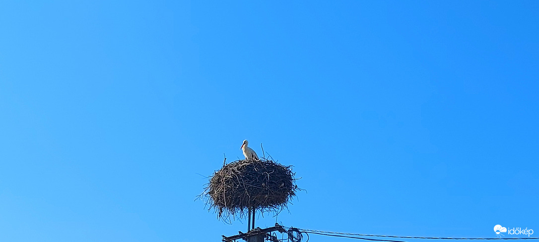Tiszafüred