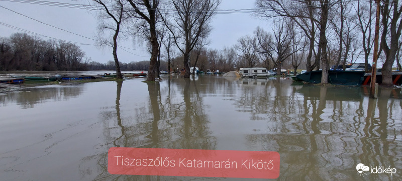 ‼️A Tisza áradása Tiszaszőlős Katamarán Kikötő 2021. 02. 17.