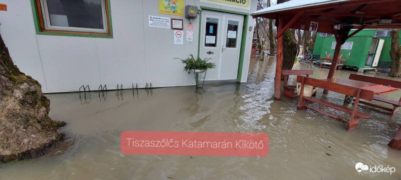 ‼️A Tisza áradása Tiszaszőlős Katamarán Kikötő 2021. 02. 17.