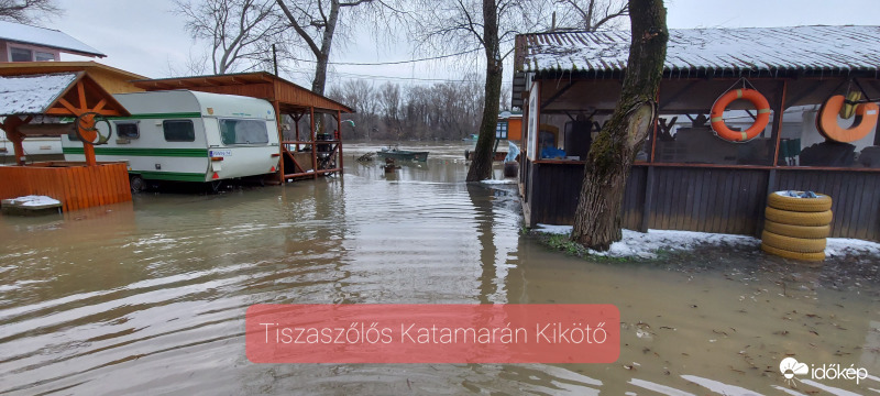 ‼️A Tisza áradása Tiszaszőlős Katamarán Kikötő 2021. 02. 17.