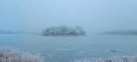 Téli csendélet a Tisza-tónál Tiszafüred 2022. január