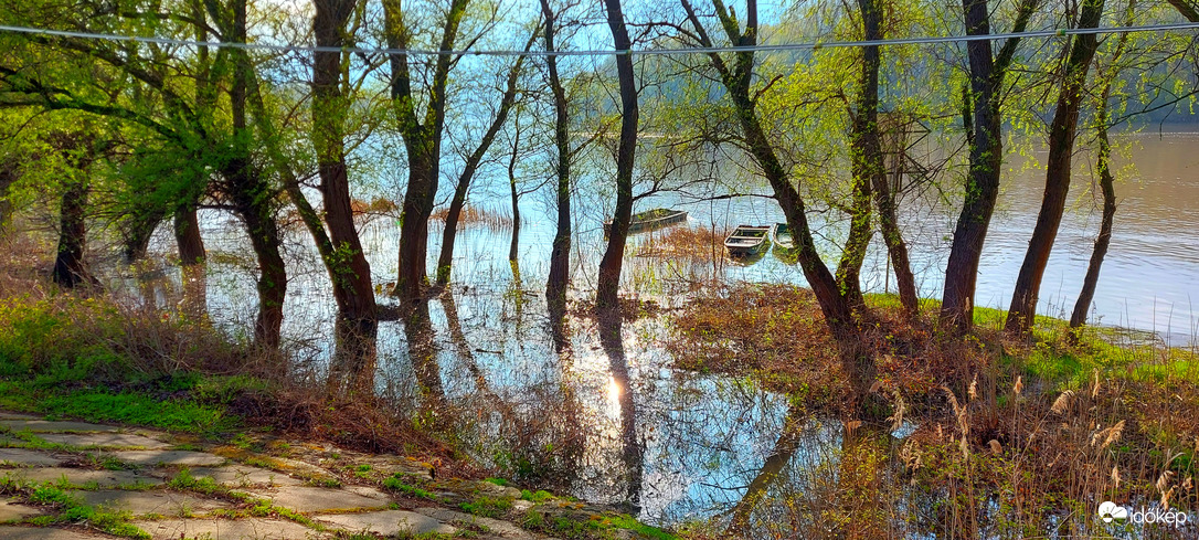 A megáradt Tisza Tiszaörvénynél 3.