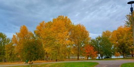 Ősz a tiszaparton (Tiszafüred)