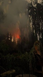 Tiszafüreden villámcsapás következtében fűzfa gyulladt ki