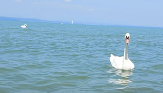 Siófok