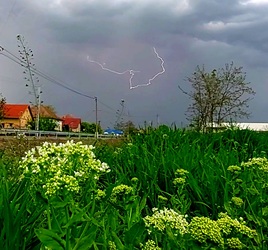 Tiszafüred