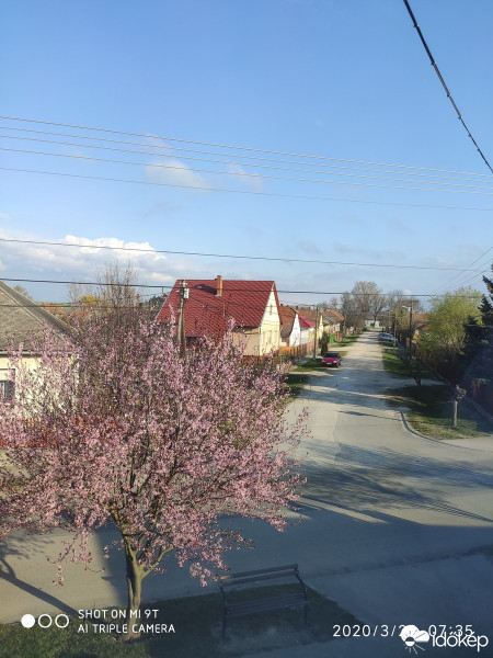 Kunszentmiklós
