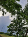 Tápiószele