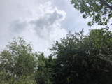 Dunabogdány