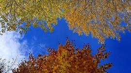 A Bükk őszi csodái - 3