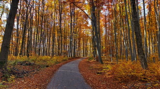 A Bükk őszi csodái - 20