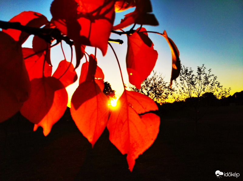 Naplemente őszi színekben 2. 