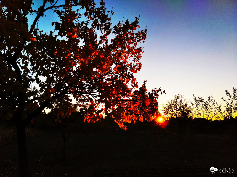 Naplemente őszi színekben 3. 