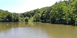A borsodnádasdi Felső-tó - 3