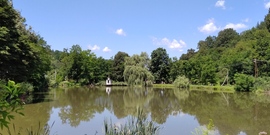 A borsodnádasdi Felső-tó - 4