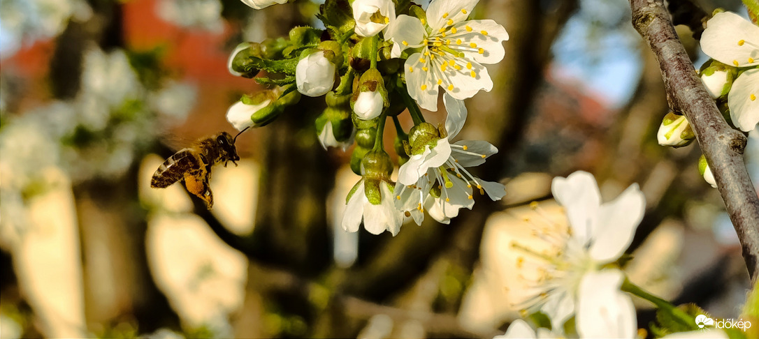 Délutáni munka - újratöltve!