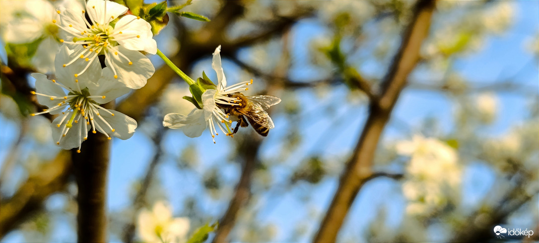 Délutáni munka - újratöltve! - 3